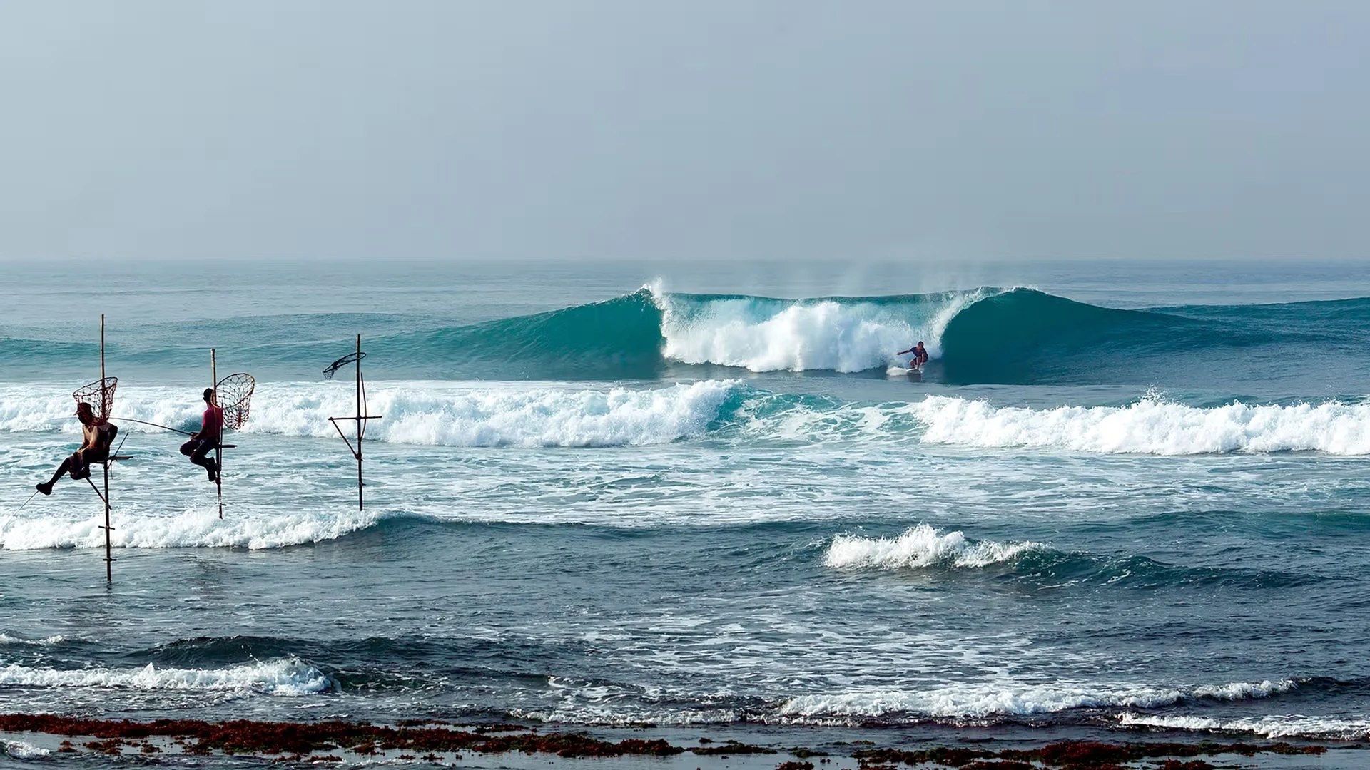 Surfing